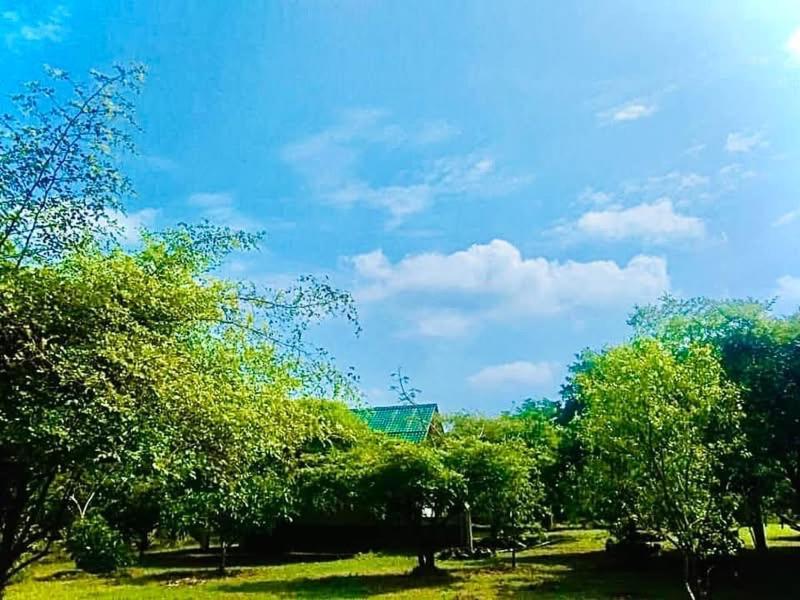 مبيت وإفطار تيساماهاراما Thihawa Eco Huts Yala المظهر الخارجي الصورة