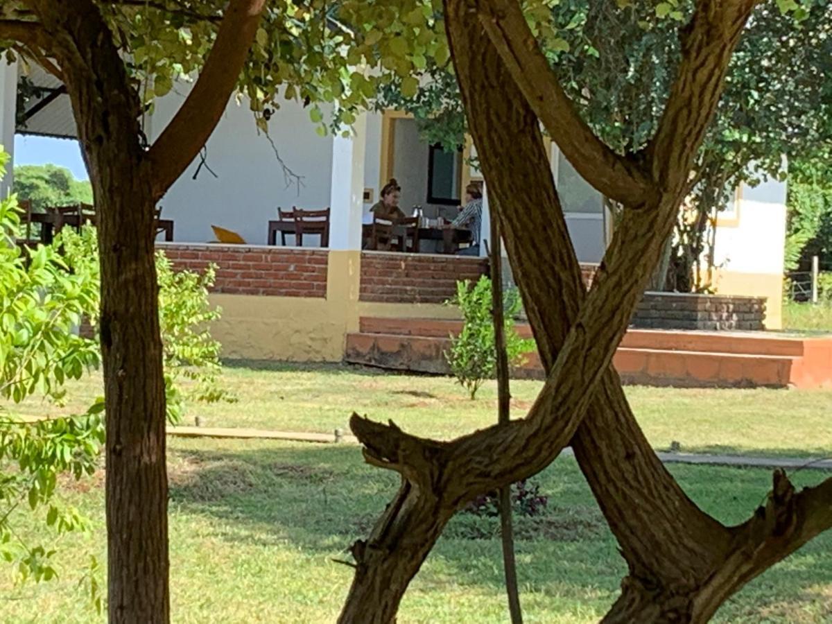 مبيت وإفطار تيساماهاراما Thihawa Eco Huts Yala المظهر الخارجي الصورة