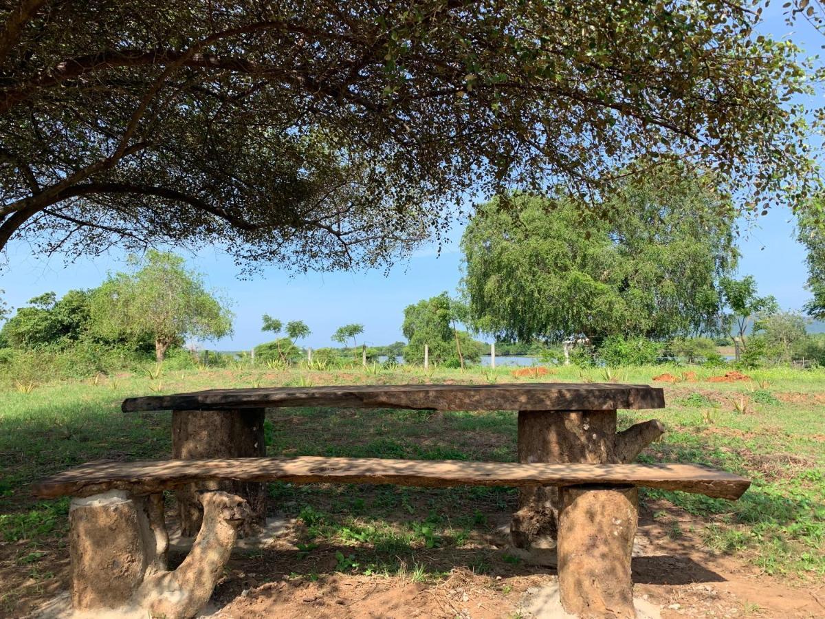 مبيت وإفطار تيساماهاراما Thihawa Eco Huts Yala المظهر الخارجي الصورة